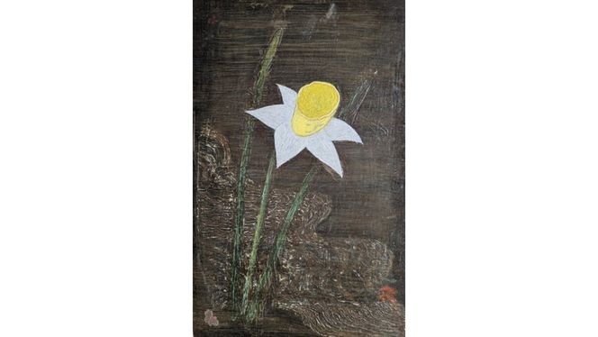 【 限定１点 】ビーナス [BG119-NT]