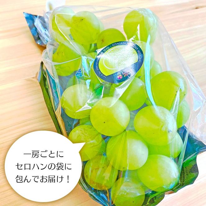 【田口ファミリーファーム】ぶどうﾐｯｸｽ(瀬戸ジャイアンツ入り)2~4房(約1.5kg~2kg)(2026年7月中旬発送開始) N053-YZB072