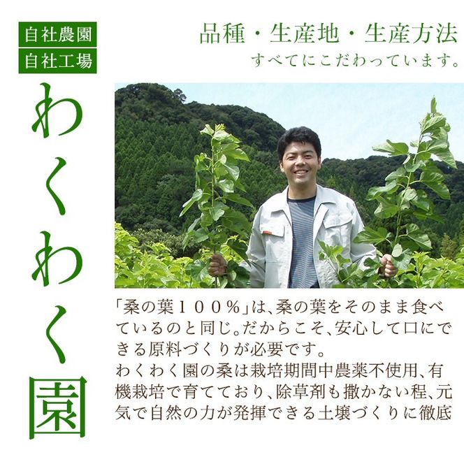 a932 さつま桑青汁314本セット【わくわく園】桑の葉 青汁 桑 青汁 粉末青汁 スティックタイプ 国産 高級品種 センシン