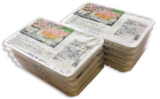 【12ヶ月定期便】ゆきむら壱番亭のニンニクにら餃子10パック(160個入り) ※離島への配送不可
