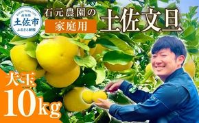 【先行予約】石元農園の土佐文旦家庭用 大玉 約10キロ 10kg 3Lサイズ 4Lサイズ〈2027年2月～発送〉 文旦 ぶんたん 柑橘 かんきつ みかん フルーツ デザート 果物 高知【石元農園】 [BQBH004]