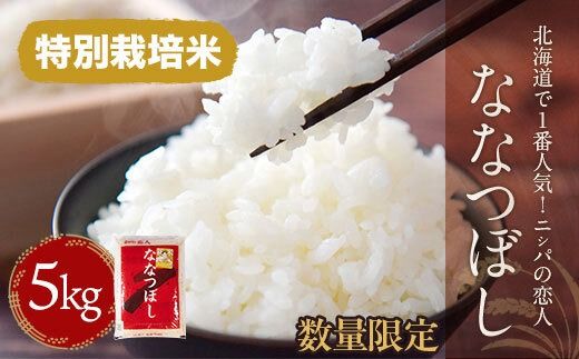 令和7年5月中旬～順次発送【数量限定 / 特別栽培米】北海道で１番人気！「ニシパの恋人」ななつぼし 5kg BRTH013