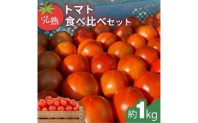 完熟トマト食べ比べセット約1kg 3種類のトマト 美味しさ選別 ｜とまと トマト 減農薬 野菜 やさい 人気 新鮮 産地直送 直売 甘い 高糖度 完熟 リコピン ビタミン ダイエット 美容 美肌 愛知県 美浜町 ※2026年1月上旬～5月下旬頃に順次発送
