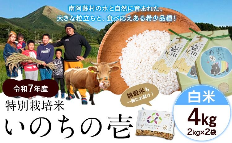 新米 令和7年産 特別栽培米 いのちの壱(白米) 4kg 2kg×2 雑穀米付き[10月中旬-11月下旬頃出荷] 熊本県 南阿蘇村 熊本県産 虹色のかば 白米 雑穀米---sms_inci6_k1011_r7_14500_h4kg---