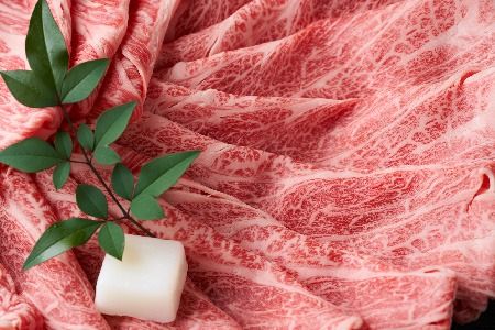 艶さし！【厳選部位】【A4～A5】佐賀牛サーロインしゃぶしゃぶすき焼き用 600g(300g×2P)【肉 牛肉 ブランド牛 黒毛和牛 お祝い ご褒美 ふるさと納税】(H112115)