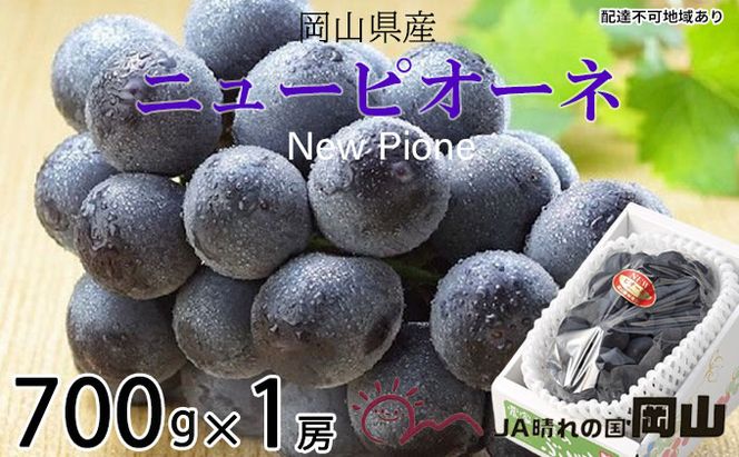 ぶどう 2026年 先行予約 ニュー ピオーネ 約700g×1房 ブドウ 葡萄  岡山県産 国産 フルーツ 果物 ギフト 果物類 