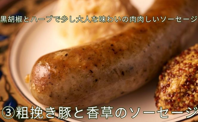 【ジャングルケイブ】肉感たっぷり 手作り無添加ソーセージ3種(各約100g)｜京都 御所南 ソーセージとお肉の店 人気セット [ 手作り無添加ソーセージ 食べ比べ 1.スタンダード 2.鶏と瀬戸内レモンピール 3.豚粗挽き肉と香草 無添加 肉肉しい おいしい グルメ 人気 おすすめ ギフト プレゼント お取り寄せ 通販 送料無料 ふるさと納税 ］ 261009_B-XU01
