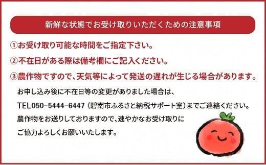 【2027年発送】約2kg！まるでトマトの宝石箱！フルーツジュエリートマト 4月～6月発送 長田農園 産地直送 カラフル トマト とまと 野菜 やさい フルーツ サラダ 濃厚 甘い ご褒美 プレゼント 美容 健康 リピート多数 人気 高評価 先行受付 数量限定 碧南市 H004-238