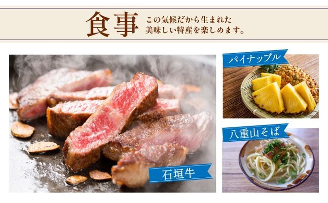 石垣パッケージ旅行補助券(30,000円分) OTI-01