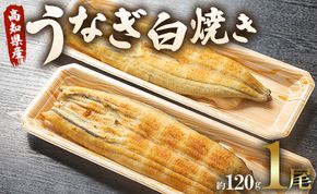 うなぎ屋きた本 うなぎ白焼き 1尾(約120g)(無頭) - 送料無料 鰻 ウナギ 魚介 山椒塩 惣菜 おかず のし ギフト プレゼント 丑の日 国産 うなぎ屋きた本 高知県 香南市 un-0016