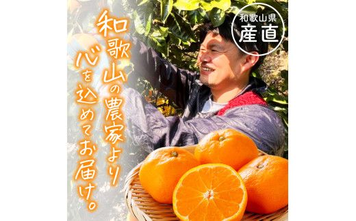 わかやま 旬の くだもの 定期便【Ｓ】 全3回 / フルーツ まりひめ いちご 小玉 すいか ※北海道・沖縄・離島への配送不可 （配送日時指定不可）※北海道・沖縄・離島への配送不可 / 定期便 フルーツ みかん いちご すいか 【ard-tkb908】