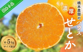 【ランキング急上昇！】 橋本農園の 訳あり ハウスせとか 5kg サイズ混合 【2025年2月初旬～2月末に順次発送】 / ご家庭用 家庭用 訳アリ せとか みかん ミカン 蜜柑 柑橘 果物 くだもの フルーツ 予約 人気 ジューシー 産地直送【mht023】