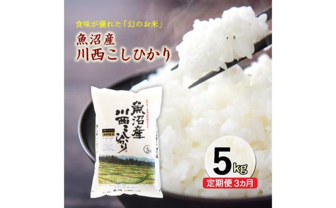 【定期便／3ヶ月】魚沼産川西こしひかり5kg