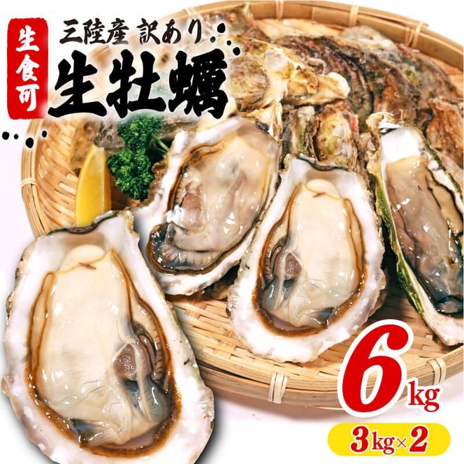 訳あり 生食 殻付き 牡蠣 6kg(3kg×2) かき カキ 冷凍 岩手県産 殻付き 生食 訳あり わけあり 大きさ不揃い 不揃い 三陸 三陸産 株式会社國洋 岩手県 大船渡市 [koku017] 