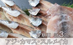 黒潮干物１１枚定期便【全３回】 頒布会 iz030