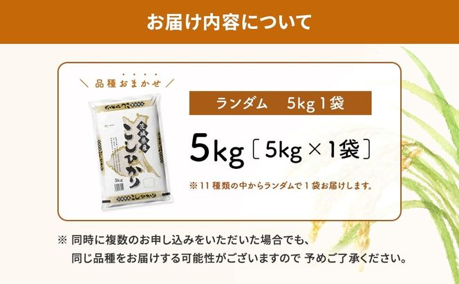 K2464【令和6年産】※ランダム※ ＜2025年01月内発送＞  お米 5kg  茨城県産 白米