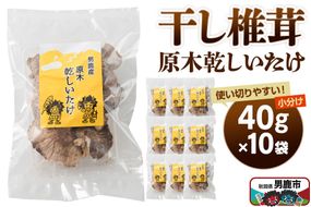 干し椎茸 原木乾しいたけ 40g×10袋 男鹿産 男鹿ゴルフクラブ [しいたけ 椎茸 シイタケ 乾物]|23_ogg-041001