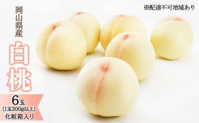 桃 2026年 先行予約 白桃 6玉（1玉300g以上）化粧箱入り もも モモ 岡山県産 国産 フルーツ 果物 ギフト 透き通る 白い 柔らかい 果汁 きめ細やか 恵み 知恵 情熱 贈り物