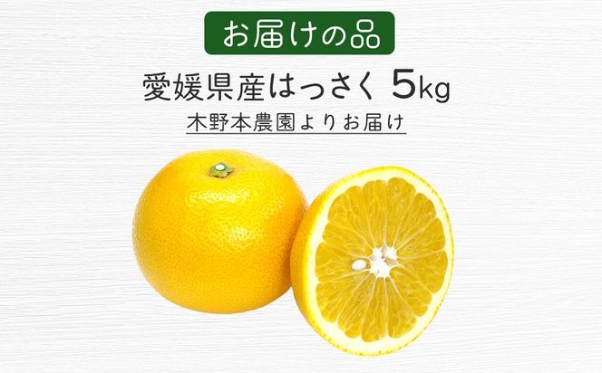 【栽培期間中農薬不使用】【先行受付】【数量限定】農園直送！愛媛県産 はっさく 5kg （2026年2月下旬頃より順次発送） IKTG023