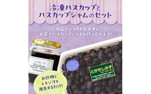 【2026年発送先行予約！】とかちしみずフルーツガーデンのハスカップジャムづくりセット_S009-0018