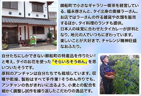 そらいろそうめん濃色 選べる 2セット 3セット 6セット 福永幸山堂《30日以内に出荷予定(土日祝除く)》---sm_smtk_30d_23_7500_2p---