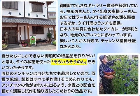 御船町 福永幸山堂のそらいろそうめん(薄色・濃色) 選べる 2セット 3セット 6セット《60日以内に出荷予定(土日祝除く)》---mifune_hkn_1_400g---