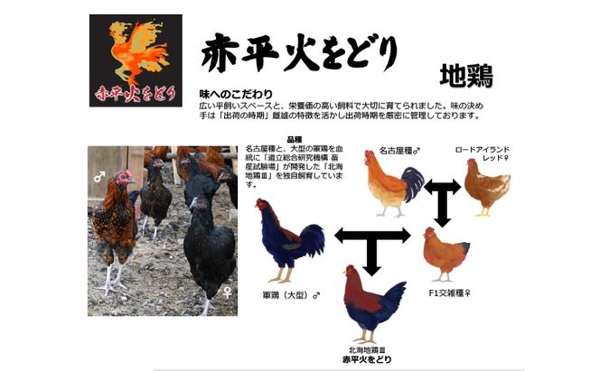 訳あり 国産 鶏肉 赤平火をどり 地鶏 ムネ モモ セット 計3.6kg 鶏 もも肉 むね肉 肉 精肉 国産鶏肉 鳥 鳥肉 業務用 人気 おすすめ 北海道 赤平