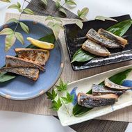 【ふるさと納税】魚屋さんの 漬け魚 骨取り済 さわら （西京漬け 塩麹漬け 醤油こうじ 2人前×6パック）各120g 合計720g 鰆 サワラ サゴシ 惣菜 おかず 魚 味噌漬け みそ漬け 塩麹 醤油麹 無添加 国産レンチンOK 冷凍 兵庫県 新温泉町 送料無料