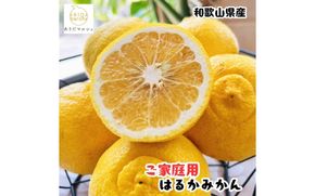 【先行予約】【人気柑橘】 有田育ちの はるか みかん（訳あり 家庭用）約1kg+200g(傷み補償分) ※2027年1月下旬～3月下旬に順次発送【ard251】