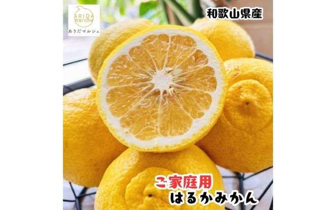 【先行予約】【人気柑橘】 有田育ちの はるか みかん（訳あり 家庭用）約1kg+200g(傷み補償分) ※2027年1月下旬～3月下旬に順次発送【ard251】