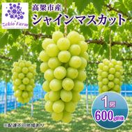 シャインマスカット 1房 600g前後 葡萄 フルーツ 岡山 高梁市産 ぜきお農園 ぶどうclub 2026年 先行予約 果物類 ブドウ 果物 