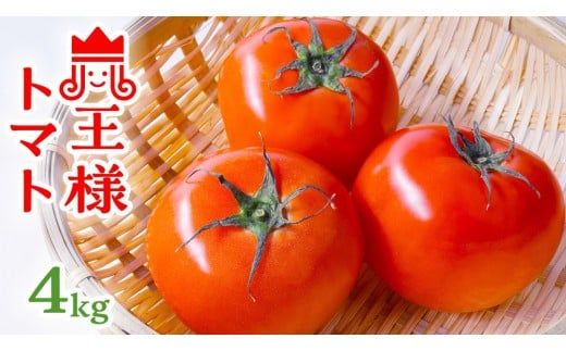 箱守果樹園 直送！ 「 王様トマト 」 1箱 4kg 野菜 トマト とまと [DE002ci]
