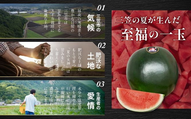 《2026年分受付中》『夏の女神』種が少なくて甘い黒皮スイカ1玉入（中玉4～6kg）【01005】