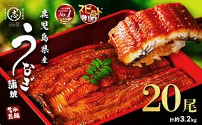 鹿児島県産うなぎ蒲焼 名水慈鰻 20尾(1尾約160g)＜計約3.2kg＞ wa4-001