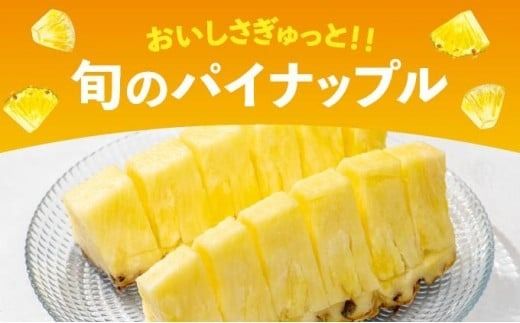 【訳あり】 石垣島産 パイナップル 詰め合わせ 約8kg (6～20個)《2026年4月下旬発送》 KP-16