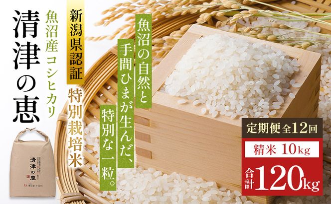 定期便 12ヶ月 コシヒカリ 清津の恵 10kg 米 白米 お米 魚沼産コシヒカリ 新潟米 新潟 十日町市 定期 12回