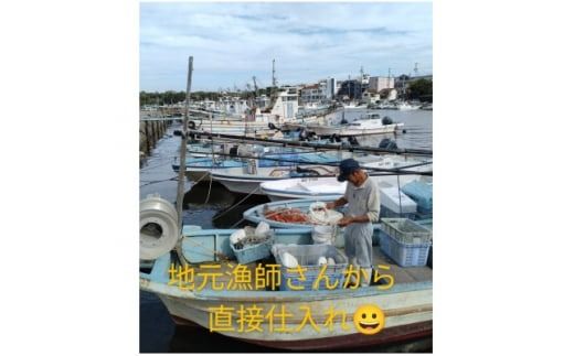 日間賀島産　ボイルワタリガニ　1kg以上　＜4匹～6匹＞