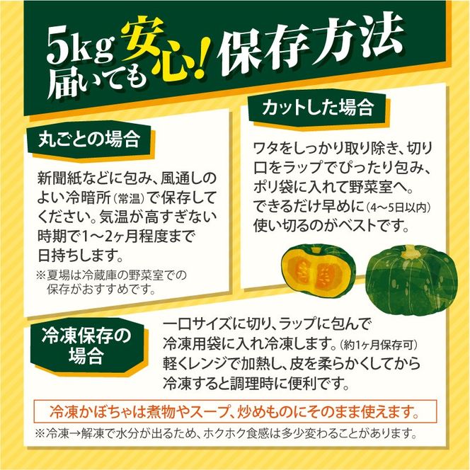先行受付！12月頃～発送開始！北海道十勝清水町産 生産者応援！【訳あり】ホクホク！栗かぼちゃ！ブラックのジョー 5kg 北海道産 かぼちゃ カボチャ 冬至 _S021-0031