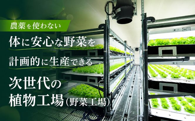 【農薬不使用】Leaf Mie（完全人工光型植物工場レタス）約80g×25個【fskk0001】