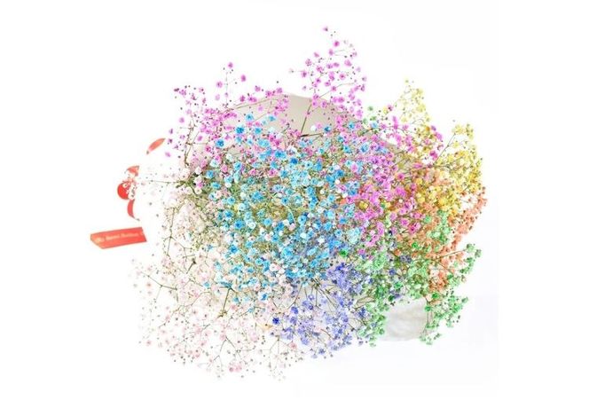 ふわふわブーケ ｜ 生花 花 ギフト ロマンチックかすみ草 七色 輝く カスミソウ カスミ草 かすみそう お祝い プレゼント カラフル 花束 おしゃれ