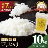 【最短7日発送】大子産米 コシヒカリ（精米）10kg|茨城県 大子町 こしひかり 白米 令和7年産 食味値 コンテスト(AV034)