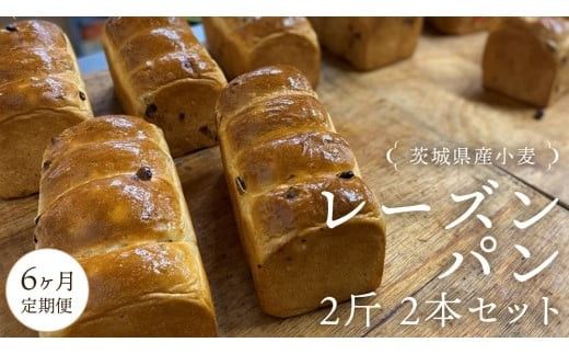 【 6ヶ月 定期便 】茨城県産 小麦の レーズンパン 2斤 2本 セット 食パン パン 小麦 冷凍 レーズン プレゼント ギフト [AU021ci]