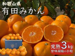 完熟 小粒 有田みかん 3kg 甘味凝縮 和歌山県産 産直45年 武内園   BA03