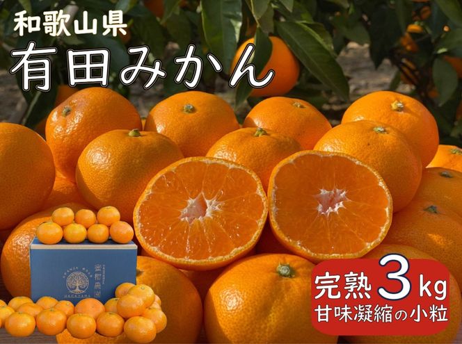 完熟 小粒 有田みかん 3kg 甘味凝縮 和歌山県産 産直45年 武内園   BA03