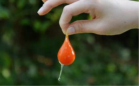 【全6回定期便】【 つまんでご 卵 】糸島 ロールケーキ & マカロン 5個 詰め合わせ セット糸島市 / 緑の農園卵 たまご 菓子 焼き菓子 ケーキ [AGA025] ロールケーキ マカロン 洋菓子 八女茶 あまおう ココア