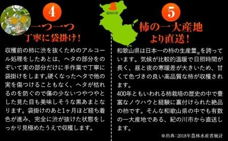 【先行予約】紀の川市産 黒あま 種なし 約2kg（6～9玉前後）4L～2Lサイズ《2025年10月中旬-11月末頃出荷》和歌山県 紀の川市 たねなし柿 くろあま 高級 産地直送 かき 柿 カキ 果物 フルーツ---wfn_wlocal40_10c11m_24_10000_2kg---