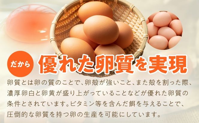 099Z162 戸野さん家のこだわりタマゴ 定期便 30個×全3回 Mサイズ 合計 90個【毎月配送コース 卵 国産 濃厚 餌にこだわった とのたま】