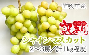 ＜25年発送先行予約＞【訳あり品】山梨県産シャインマスカット2房～3房(合計1kg程度)　229-009
