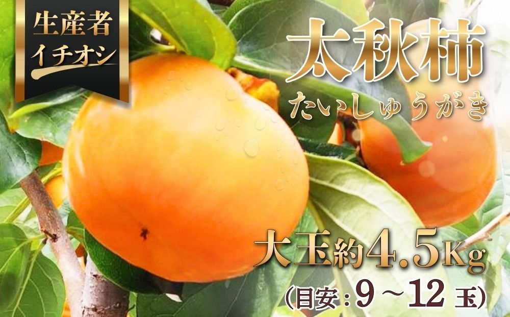 太秋柿(たいしゅうがき)約4.5kg(目安:9〜12玉) ※2026年11月〜発送