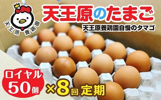 【定期便】8回定期 【天王原のたまご】 ロイヤル卵50個入り【定期便 8回定期便 セット たまご 卵 玉子 タマゴ 濃厚 ハリ 弾力 ボリューム 甘味 旨味 卵黄 風味 生 コク 甘味 卵かけご飯 卵焼き 目玉焼き オムレツ 茶碗蒸し お菓子作り パンの材料】